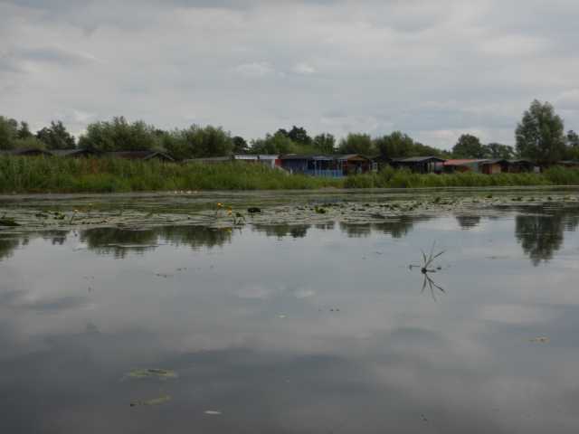 DSCN6729.JPG