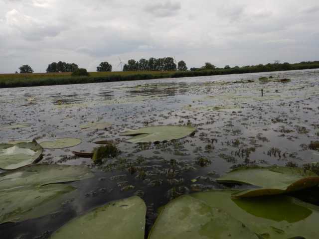 DSCN6731.JPG