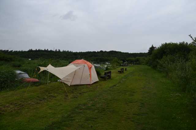 DSC_7878.JPG