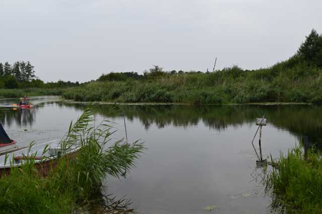 DSC_7882.JPG