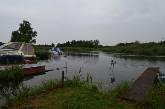 DSC_7885.JPG