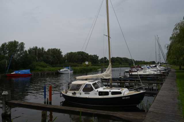 DSC_7903.JPG