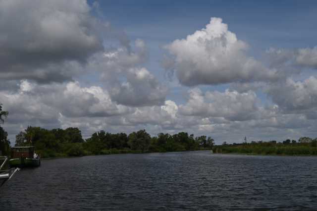 DSC_7965.JPG