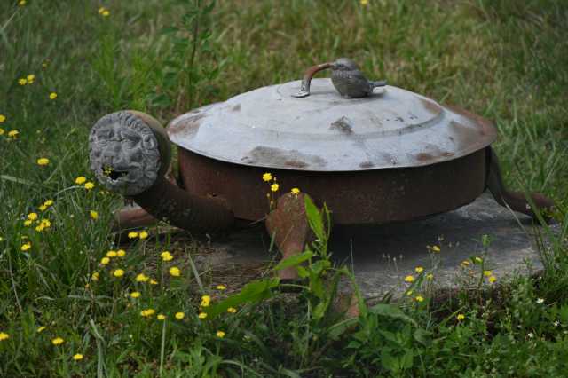 DSC_7970.JPG