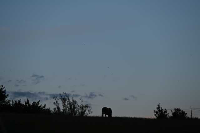 DSC_8018.JPG