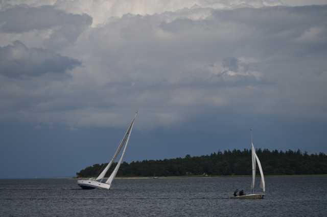 DSC_8085.JPG
