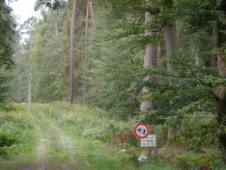 DSCN6799.JPG