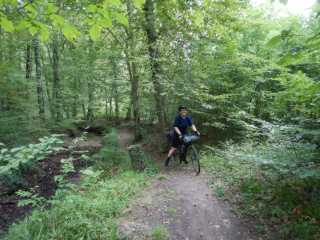 DSCN6801.JPG
