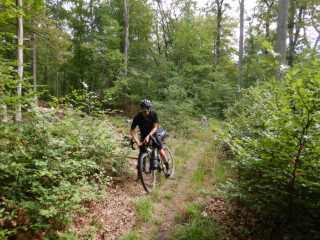 DSCN6805.JPG