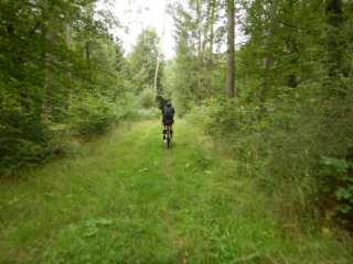 DSCN6812.JPG