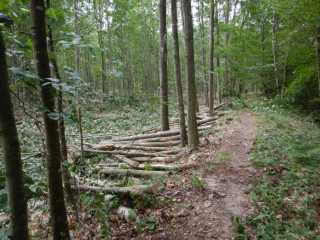 DSCN6820.JPG