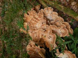 DSCN6843.JPG
