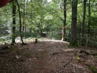 DSCN6845.JPG