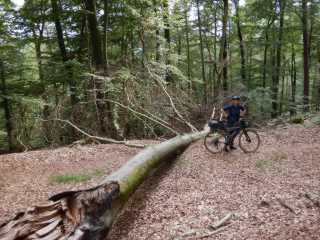 DSCN6846.JPG