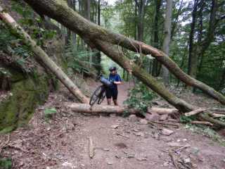 DSCN6853.JPG