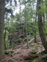 DSCN6855.JPG