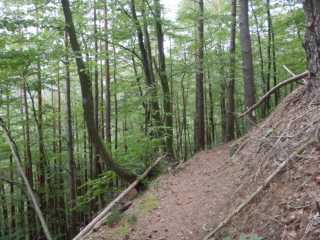 DSCN6867.JPG