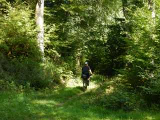 DSCN6907.JPG