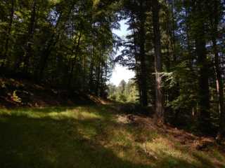 DSCN6912.JPG