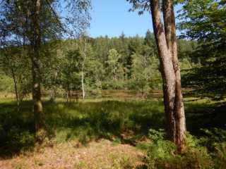 DSCN6914.JPG