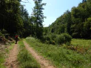 DSCN6925.JPG