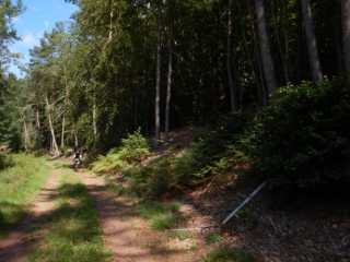 DSCN6927.JPG