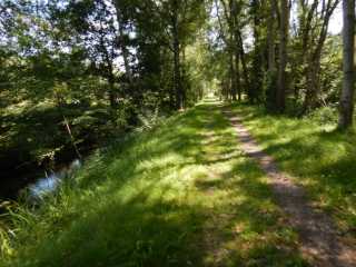 DSCN6947.JPG