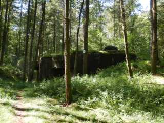 DSCN6950.JPG