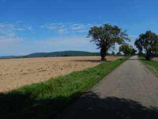 DSCN6960.JPG