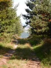 DSCN6967.JPG