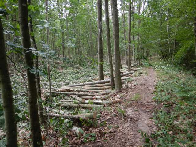 DSCN6820.JPG