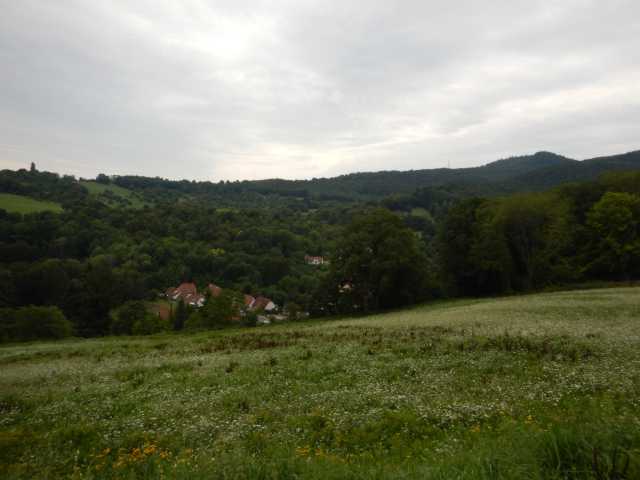 DSCN6826.JPG