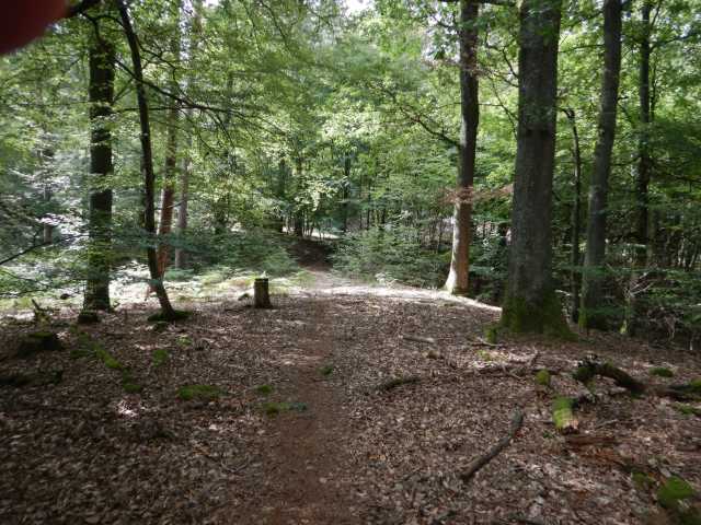 DSCN6845.JPG