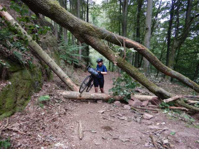 DSCN6853.JPG