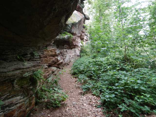 DSCN6860.JPG