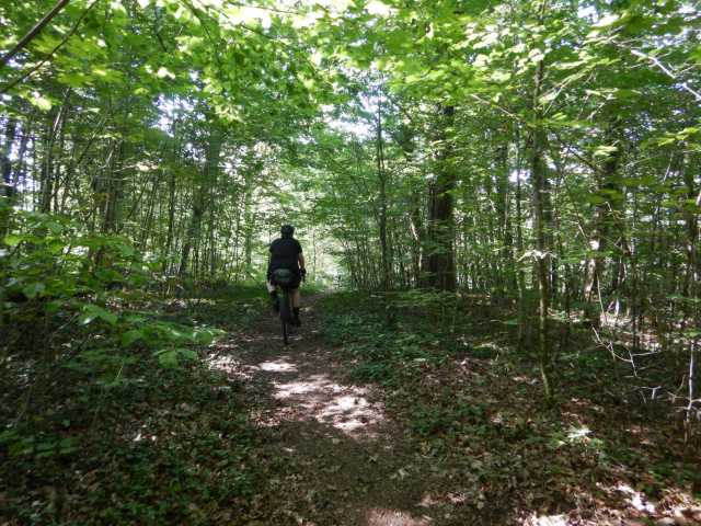 DSCN6896.JPG