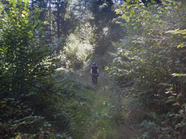 DSCN6909.JPG