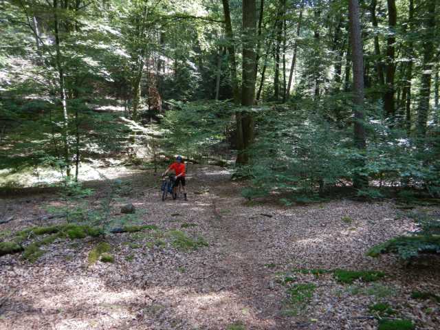 DSCN6923.JPG