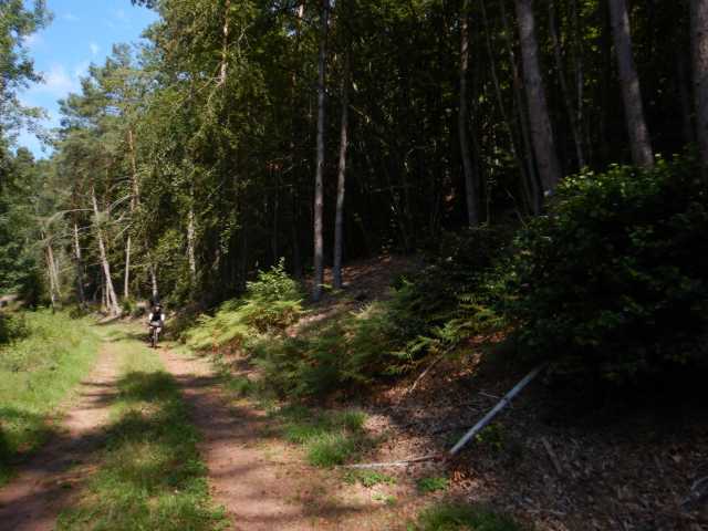 DSCN6927.JPG