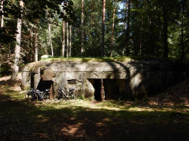 DSCN6941.JPG