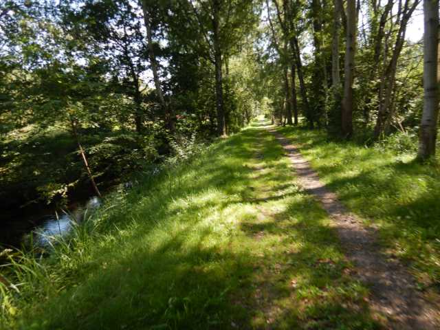 DSCN6947.JPG
