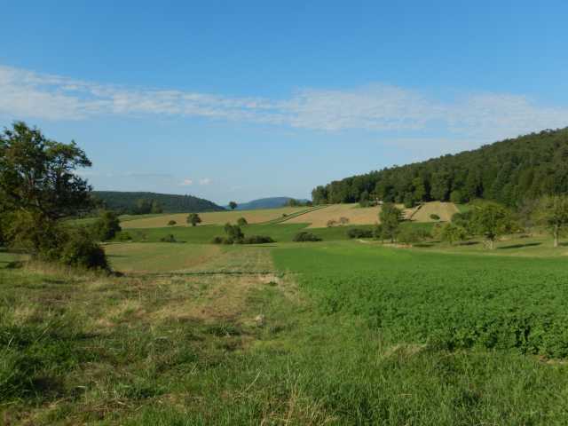 DSCN6974.JPG