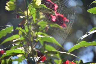 DSC_1328.JPG
