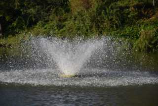 DSC_1393.JPG