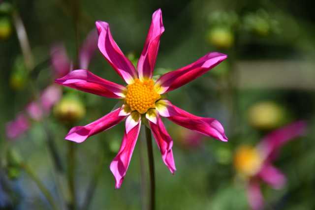 DSC_1234.JPG