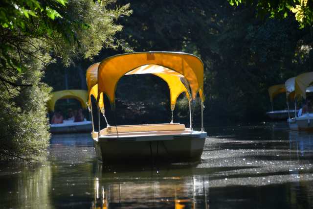 DSC_1401.JPG
