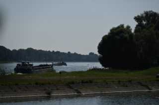 DSC_8190.JPG