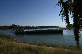 DSC_8250.JPG