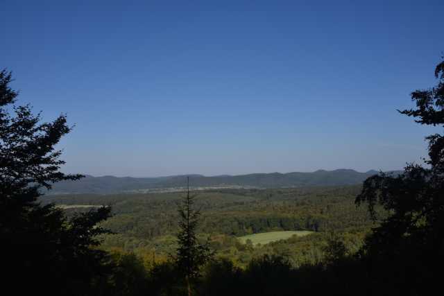 DSC_1435.JPG