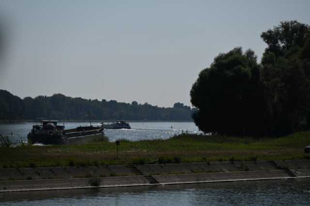 DSC_8190.JPG
